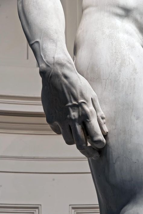 The veins in David's imposing right hand appear astonishingly lifelike, almost as if they are transcending the limitations of the marble they were meticulously carved from. Greek Statues, Greek Sculpture, Byzantine Art, The Marble, Marble Statues, Marble Sculpture, Small Canvas, Anatomy Art, Spiritual Art