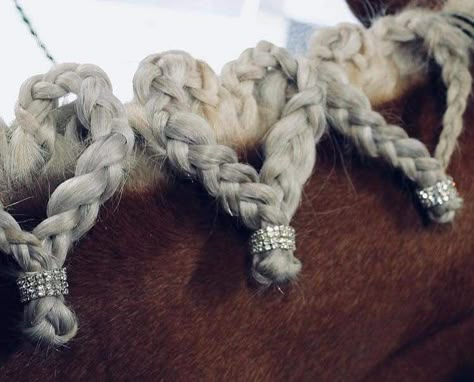 Horse wedding idea for the mane Long Mane Braids Horse, Saddles Aesthetic, Braided Horse Mane, Braided Horse Tail, Mane Braids For Horses, Horse Braiding Ideas, Horse Braids Mane, Horse Mane Ideas, Horses Braids