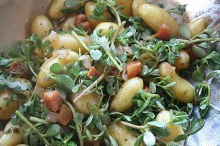 Purslane Recipe, Foraged Food, Veggie Salad, Healthy Recipies, Garden Harvest, Garden Recipes, Cooking Inspiration, Healthy Eating Recipes, Vegetable Side Dishes