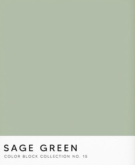 Color For Home, Sage Green Aesthetic, Sage Green Paint, Green Color Block, Home Outside, Sage Green Color, Black Color Hairstyles, Color Hairstyles, Paint Swatches