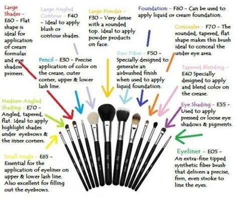 Eye makeup tips for beginners dealing with #makeup brushes. Let's break it down for you. Diagram about make up brushes. Brush Guide, Makeup Brushes Guide, How To Apply Concealer, Types Of Makeup, Make Up Brush, Makeup Geek, Makati, Belleza Natural, All Things Beauty