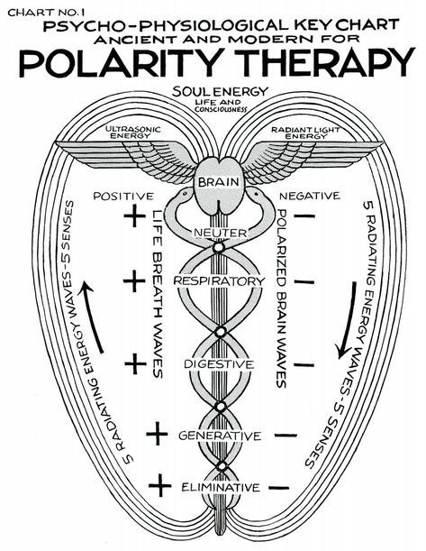 METANOIA-WORLD — Polarity Therapy  Charts 1-6, 11-13 “ Polarity... Polarity Therapy, Secret Energy, Sacred Science, Sacred Geometry Symbols, Alchemy Symbols, Spirit Science, Energy Medicine, Ancient Knowledge, Les Chakras