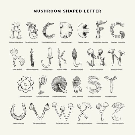 Mushrooms - Font on Behance Mushroom Lettering, Mushroom Typography, Cottagecore Font, Beautiful Fonts Alphabet, Mushroom Letters, Mushroom Alphabet, Mushroom Font, Weird Fonts, Nature Fonts