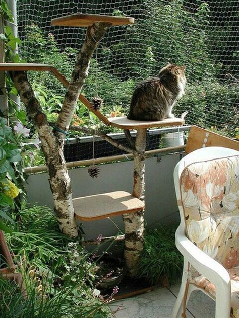 Outdoor Cat Tree, Cat Playground Outdoor, Katt Grejer, Cats Outside, Cat Patio, Outdoor Cat Enclosure, Living With Cats, Cat Run, Cat Proofing