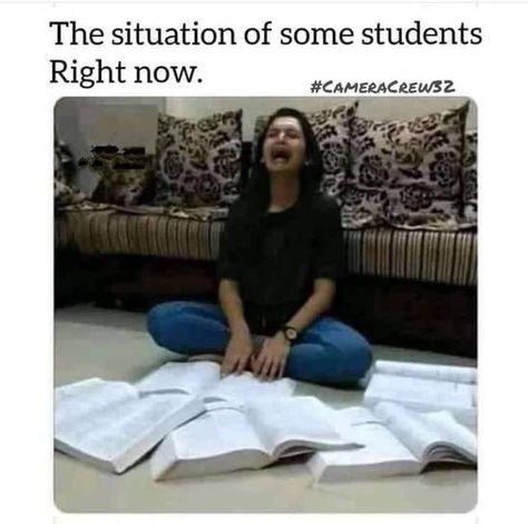 Exam Memes, Exams Memes, Studying Funny, Student Jokes, Exams Funny, Studying Memes, Exam Quotes Funny, Jokes Hilarious, Funny Puns Jokes