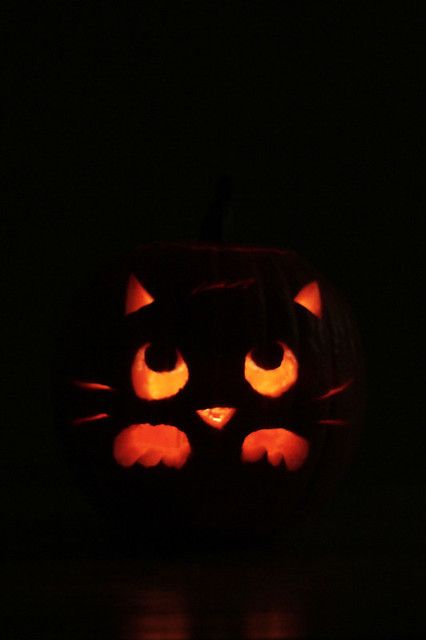 Easy Cute Pumkins Ideas Carving, Pumpkin Carving Ideas Cat, Pumpkin Carving Cat, Cat Face Pumpkin, Unique Pumpkin Carving Ideas, Cat Pumpkin Carving, Pumpkin Idea, Pumpkin Cravings, Cute Pumpkin Carving