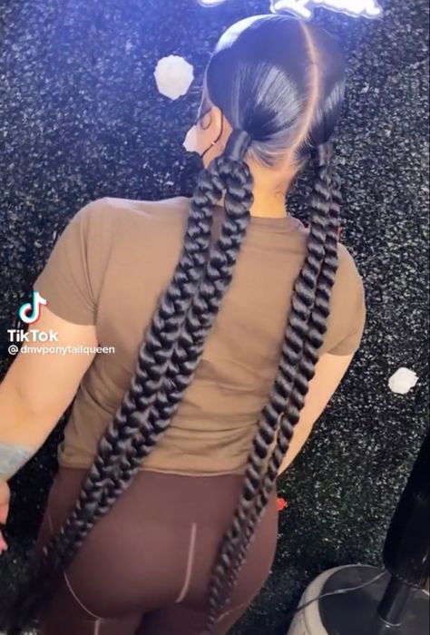 Slick Ponytail With Braid, 2 Braid Pigtails, 4 Braided Ponytail Hairstyles, 2 Slick Back Ponytail Braids, Two Ponytails With Braids, Two Braided Ponytail Hairstyles, Two Braids Ponytail, Two Braid Ponytail, Two Pigtail Braids