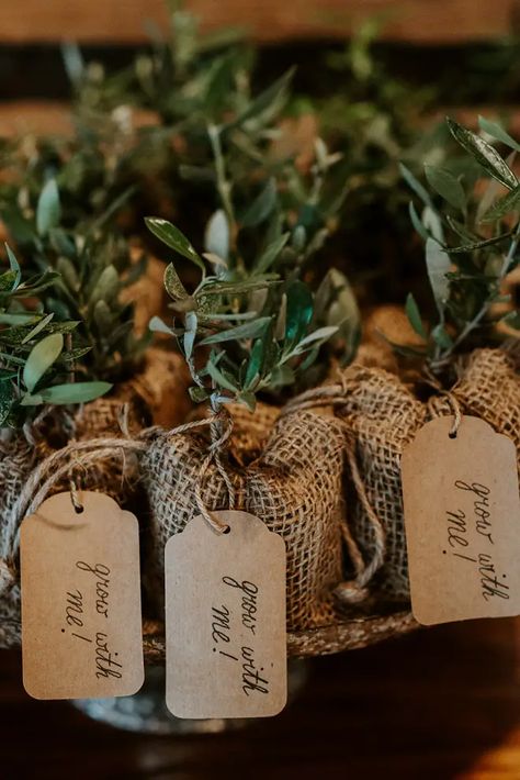 Organic Baby Shower Ideas, Olive Baby Shower Ideas, Home Grown Baby Shower Theme, Baby Shower Giveaways, Organic Baby Shower, Baby Shower Garden, Woodland Baby Shower Favors, Garden Baby Shower Theme, Classy Party