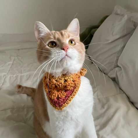 This pet bandana was crocheted by hand by me! I used this multicolored yarn to make this lovely accessory for your pet, perfect for cats or small dogs! DISCLAIMER: Because each skein of yarn is unique, and because the bandana is so small, the pattern of the colors will not be exactly the same as the images. The bandana will have different shades of orange, yellow or red, but the order of the colors will not be identical to the images. Bandana Crochet, Chat Crochet, Crochet Bandana, Cat Bandana, Yellow Cat, Red Orange Yellow, Cat Colors, Crochet Cat, Pet Neckwear