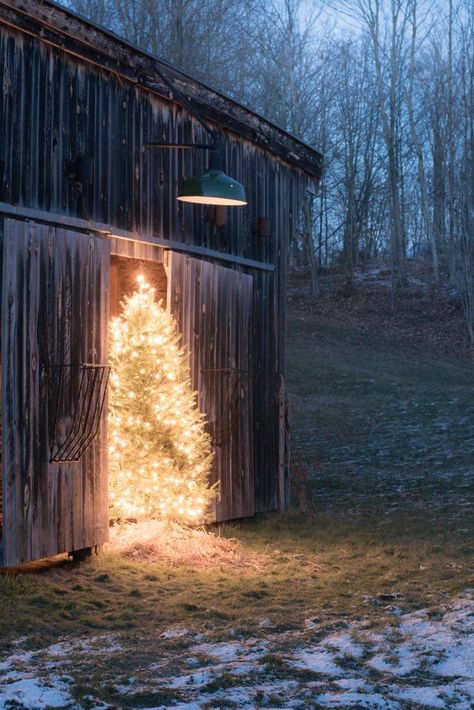 Joulun Aika, Christmas Tree Photography, Christmas Country, Diy Outdoor Decor, Nature Life, Christmas Feeling, Ideas For Christmas, Tree Photography, A Barn