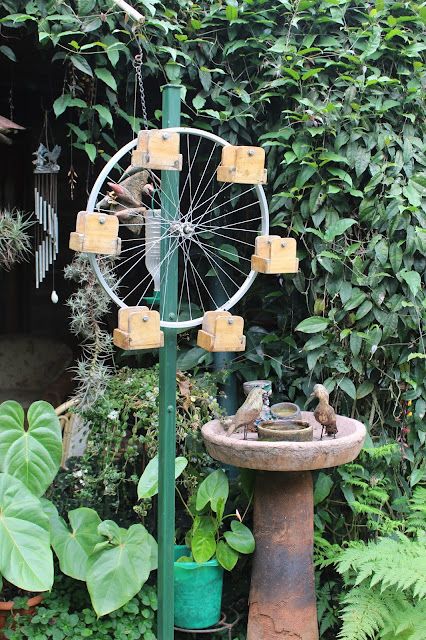 Kenyan Arts Review: CREATING A GARDEN OF EDEN Ferris Wheel Bird Feeder, Diy Dog Feeder Outdoor, Diy Bird Aviary Outdoor, Bird Feeders Diy, Bird Feeder Diy, Hibiscus Shrub, Backyard Crafts, Creating A Garden, Asparagus Plant