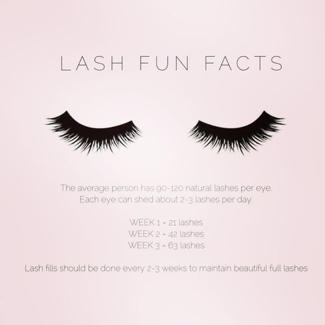 Lash Sayings Eyelashes, Lash Extension Facts, Lash Quotes Eyelash Extensions, Lash Instagram Theme, Lash Posts For Instagram, Lash Facts, Lash Tech Instagram Posts, Lash Instagram, Lash Content