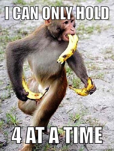 4? Ouch! Monkey Pic, Monkey Gif, Punjab Culture, Funny Monkeys, Banana Funny, Pic Funny, Monkey Style, Monkey And Banana