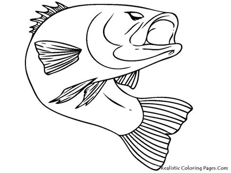 22+ Exclusive Photo of Fish Coloring Pages - davemelillo.com Fish Drawing For Kids, Fish Sketch, Photos Of Fish, Drawn Fish, Fish Coloring Page, Bass Fish, Cartoon Fish, Fish Illustration, Drawing Faces