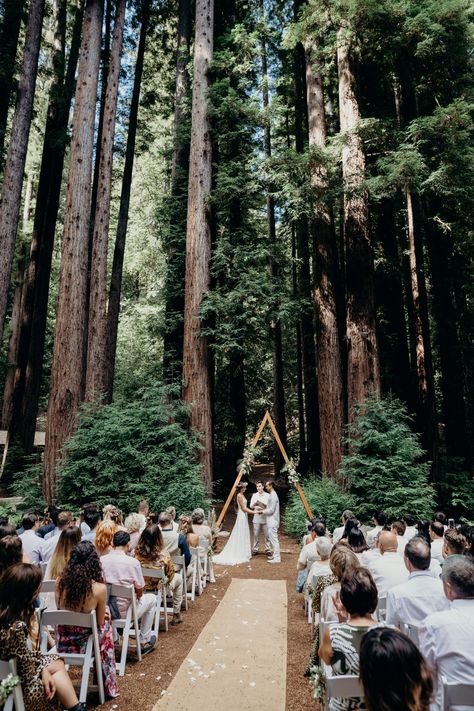 Waterfall Lodge and Retreat Weddings in Ben Lomond, California / Santa Cruz Mountains Wedding Venue - Melissa Ergo Photography - Santa Cruz Wedding Photographer Forest Wedding Venue, Twilight Wedding, Mountains Wedding, Ben Lomond, Forest Theme Wedding, Santa Cruz Mountains, Mountain Wedding Venues, Enchanted Forest Wedding, Santa Cruz California