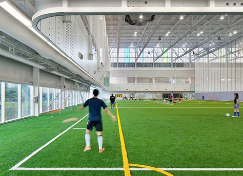 Sports Training Facility, Indoor Soccer Field, Sports Facility, Field House, Leisure Center, Training Facility, Gym Interior, Soccer Stadium, Football Pitch