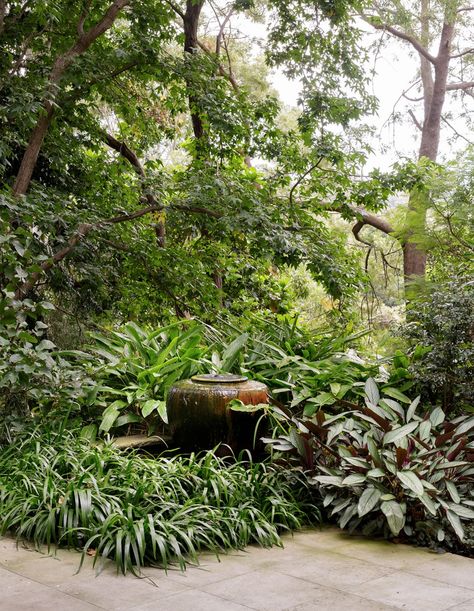 Tropical Landscape Design, Tropical Garden Design, San Martino, Estate Garden, Japanese Garden Design, Garden Villa, Luxury Garden, Green Backdrops, Garden Aesthetic