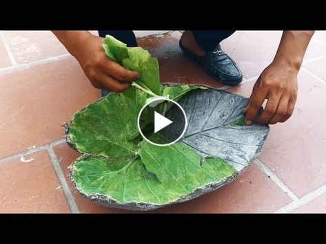 Cement Leaf Casting, Homemade Water Fountains, Concrete Diy Garden, Leaf Casting, Cement Leaves, Concrete Bird Bath, Concrete Leaves, Front Yard Landscaping Diy, Diy Concrete Planters