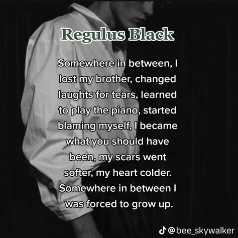 Words Describing Beauty, Regulus Black Aesthetic Quotes, Regulus Black Quotes, Regulus Acturus Black, Black Brothers, Slytherin Skittles, Peter Pettigrew, Black Sisters, Regulus Black