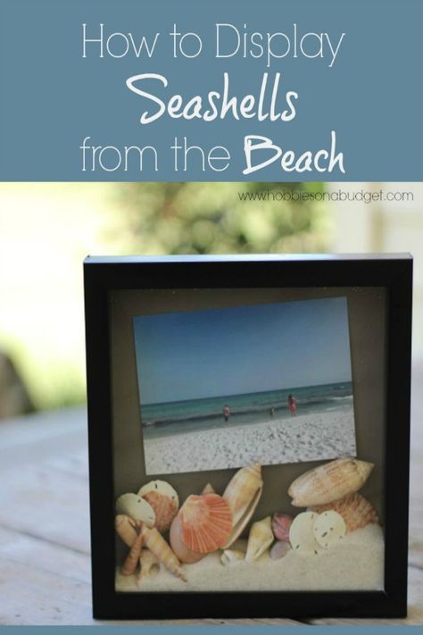 One of the best parts of a beach vacation is searching for the perfect seashells in the ocean. But what do you do with them when you get home? Maybe you have buckets of seashells and sand in your garage left over from your latest beach beach vacations and grand plans to turn them into something amazing, but you're just not sure where to start. Here are some of my favorite ideas to display seashells and beach sand! Display Seashells, Beach Shadow Boxes, Beach Keepsakes, Seashell Display, Shell Display, Seashell Projects, Shells And Sand, Art Coquillage, Box Photo