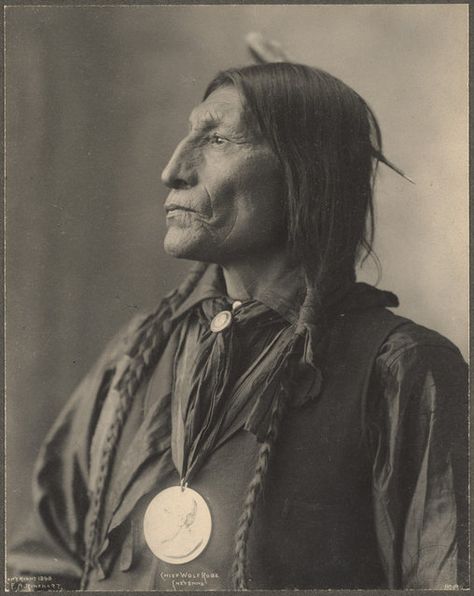 vintage everyday: Old Portraits of Native Americans by Frank A. Rinehart Native American Woman, Native American Images, American Photo, Wilde Westen, Native American Photos, The First Americans, Native American Tribes, Foto Art, American Woman