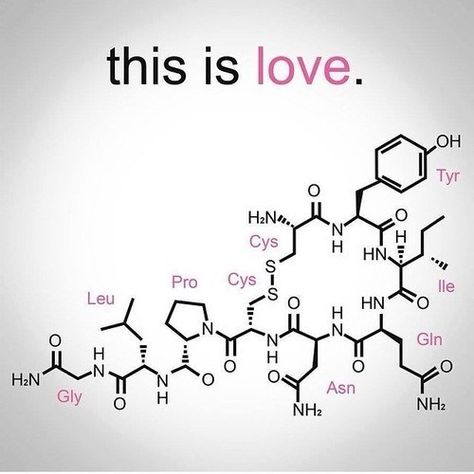 The chemical formula for love. C8H11NO2+C10H12N2O+C43H66N12O12S2 Chemistry Tattoo, Molecule Tattoo, Science Chemistry, Chemical Formula, Science Jokes, Thread Painting, Needle Point, Organic Chemistry, Biochemistry