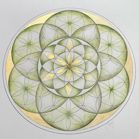 Seed Of Life Pattern, Sacred Geometry Watercolor, Seed Of Life Art, Seed Of Life Mandala, Flower Of Life Art, Sacred Geometry Art Mandalas, Geometry Art Design, The Seed Of Life, Geometry In Nature