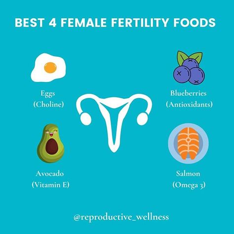 Womens Fertility, Fertility Foods Trying To Conceive, Fertility Boosting Foods, Conceiving Tips, Foods For Fertility, Foods To Get Pregnant, Ttc Trying To Conceive, Fertility Trying To Conceive, Fertility Food