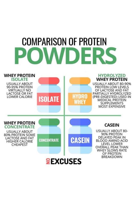 Whey Protein Benefits, Homemade Protein Powder, Healthy Tricks, Gym Protein, Fitness Education, Calorie Chart, Gym Supplements, Gym Diet, Best Protein Powder