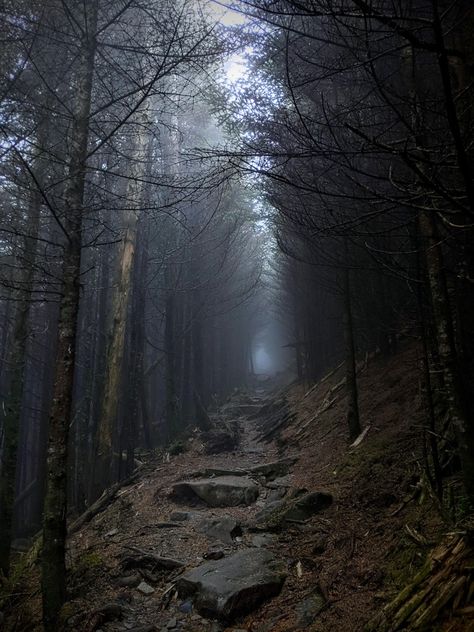 Dark Appalachian Aesthetic, Appalachian Core, Appalachian Mountains Creepy, Old Gods Of Appalachia Aesthetic, Appalachian Gothic Aesthetic, Appalachia Wedding, Appalachian Aesthetic, Appalachia Aesthetic, Appalachian Folklore