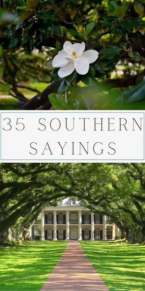 Explore 35 of the best Southern sayings, from timeless phrases to drawlin' proverbs. Savor sweet tea wisdom and Dixie expressions capturing Southern charm. Dive into the rich tapestry of Southern dialect gems, embracing the warmth of folk sayings. Let these quotes add hospitality and grace to your day. Immerse yourself in the soulful world of Southern slang and charm words. Whether a true Southerner or captivated by Dixie language, these expressions bring a smile. Southern Phrases. Southern Love Quotes, Old Southern Sayings, Southern Hospitality Quotes, Southern Words And Phrases, Southern Sweet Tea Aesthetic, Southern Sayings Quotes, Southern Slang Sayings, Southern Sayings Deep South, Country Slang Southern Sayings