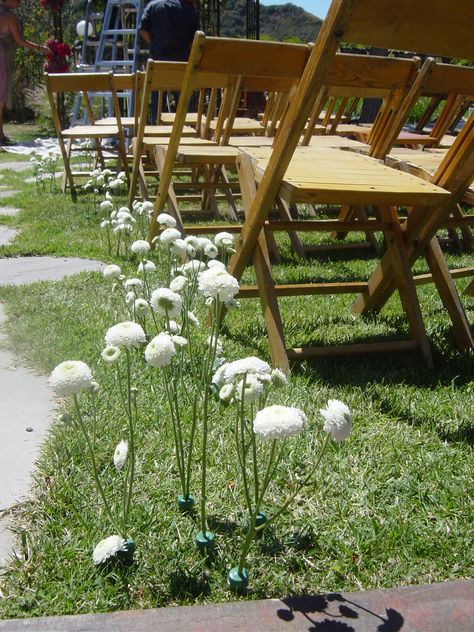 Flowers Stuck In Ground Wedding, Wedding Alley Decoration, Single Stem Flower Aisle, Single Stem Aisle Flowers, Wedding Ceremony Flowers On Ground, Aisle Ideas, Stem Style, Aisle Decorations, Ceremony Aisle