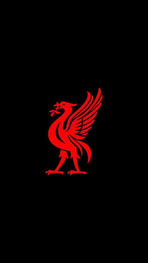 Liver Pool Logo, Liverpool Logo Hd Wallpaper, Liverpool Pfp, Iphone Wallpaper Liverpool, Liverpool Fc Wallpapers, Logo Liverpool, Liverpool Badge, Liverpool Football Team, Liverpool Wallpaper