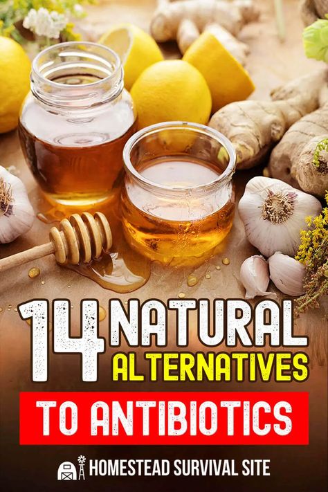 Home Remedies For Bronchitis, Natural Alternatives, Cold Sores Remedies, Natural Antibiotics, Natural Cold Remedies, Natural Cough Remedies, Holistic Remedies, Cough Remedies, Cold Remedies