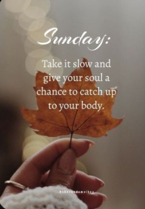 Sunday Vibes Quotes, Blessings Sunday, Slow Down Quotes, Sunday Morning Images, Sunday Morning Wishes, Blessed Sunday Morning, Blessed Sunday Quotes, Quotes Sunday, Sunday Morning Quotes