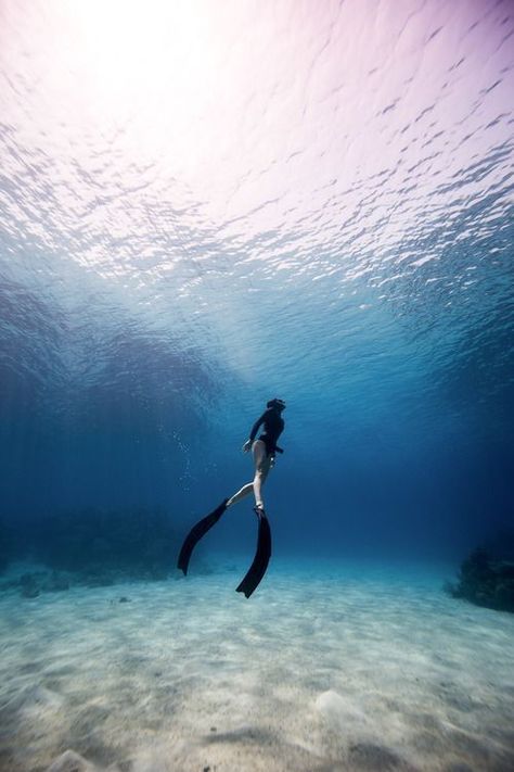 Freediving mermaid #freediving #mermaid #ocean Diver Art, Sea Diving, Behind Blue Eyes, Fishing Photography, Cave Diving, 남자 몸, Free Diving, Underwater Photos, Water Photography