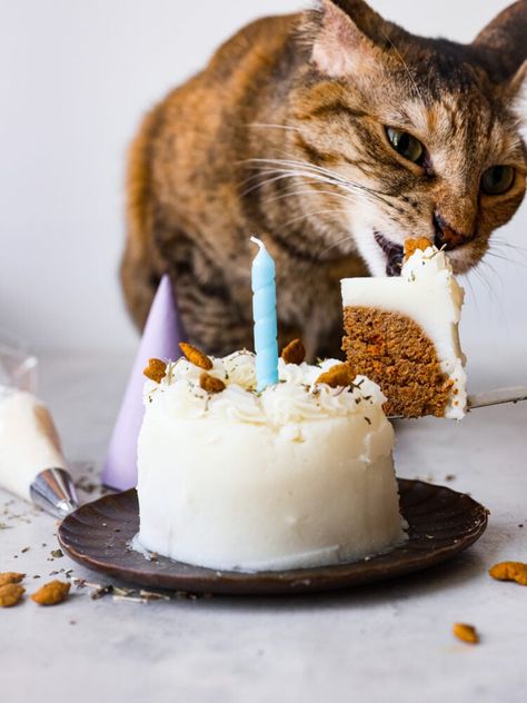 Treat your felines to this cat birthday cake made with pate, catnip, and a mashed potato "frosting!" It's easy to make and customizable, so even your pickiest kitties will love it! Cake Recipe For Cats, Cat Birthday Cake, Red Birthday Cakes, Birthday Cake For Cat, Nursing Cake, Whiskey Cake, Inside Cake, Dog Birthday Cake, Birthday Cake Recipe