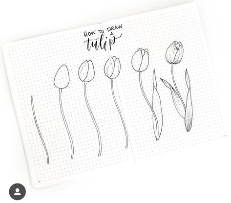 Doodles For Bullet Journal, Easy Flower Doodles, Hur Man Ritar Blommor, Tulip Drawing, Easy Flower Drawings, Arte Doodle, Journal Layouts, Bullet Journal Spreads, Flower Drawing Tutorials