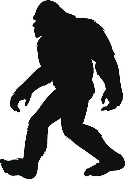 124 Bigfoot High Res Illustrations - Getty Images Bigfoot Drawing, Bigfoot Illustration, Bigfoot Silhouette, Bigfoot Pictures, Yeti Bigfoot, Bigfoot Art, Bigfoot Sasquatch, Silhouette Stencil, Clipart Black And White