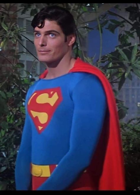 John Haymes Newton, Superman Live Wallpaper, Christopher Reeves, Christopher Reeve Superman, Superman Film, Superman 2, Nicholas Cage, Burt Ward, Superman 1