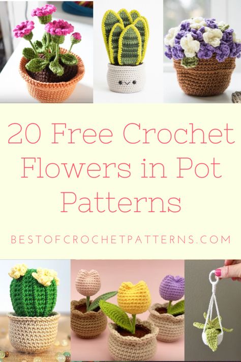 From the heart of spring to your home, explore 20 free crochet patterns for flowers in pots that are as delightful to make as they are to display. Click to learn more! Crochet Small Succulent Pattern Free, Potted Flower Crochet Pattern, Flower In Pot Crochet, Crochet Potted Flowers, Crochet Vase Pattern Free, Crochet Garden Ideas, Crochet Succulents Free Pattern, Crochet Plants Free Pattern, Crochet Flower In Pot