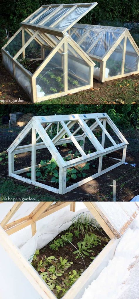 Cold Frame Diy, Diy Greenhouse Plans, Best Greenhouse, Greenhouse Design, Build A Greenhouse, Indoor Greenhouse, Home Greenhouse, Greenhouse Effect, Greenhouse Ideas