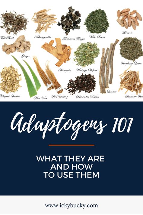 If you're looking to level up your health, adaptogens are a great way to do it! They can help improve your energy levels, immune system, and overall well-being. Learn more about how adaptogens can help you. | Adaptogens 101 - What They Are and How to Use Them Adaptogenic Herbs, Healthy Diet Tips, Herbs For Health, Daily Health Tips, Good Health Tips, Healing Herbs, Healthy Eating Tips, Herbal Supplements, Diet Tips