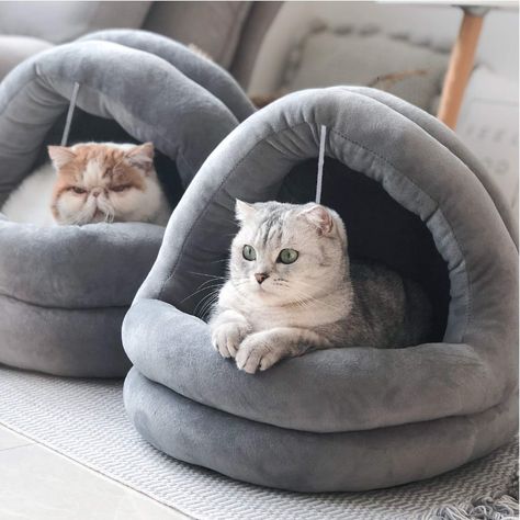 Cat Igloo, Unique Cat Bed, Pet Bed Furniture, Pet Hammock, Cat Cave, Cat Beds, Cat Bed Furniture, Unique Cats, Cat Pet Supplies