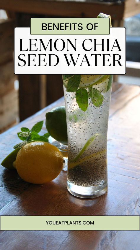 Learn about the benefits of lemon chia seed water and how it can improve your health easily! Lemon Water And Chia Seeds, Lemon Juice And Chia Seed Drink, Chia Seed Recipes Water, Lemon Chia Seed Water, Chia Seed Water Benefits, Honey Lemon Water, Chia Seed Drinks, Chia Seed Water, Benefits Of Lemon