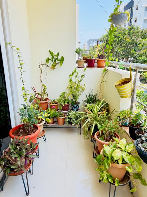 Balcony Grill, Balcony Grill Design, Terrace Garden Design, Small Balcony Garden, Plant Mama, Household Plants, Balcony Plants, Air Dry Clay Projects, Minimal House Design