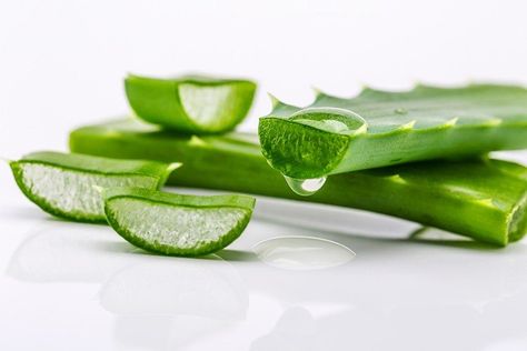 Aloe Vera Tree, Home Remedies For Burns, Burn Remedy, Aloe Vera Mask, Aloe Vera For Face, Homemade Wrinkle Cream, Green Skincare, Healthy Supplements, Aloe Vera Plant