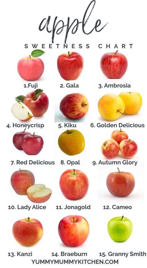 Apple Sweetness Chart - Top Types of Apples and How to Use Apple Chart, Types Of Apples, Types Of Pie, Fresh Fruit Smoothies, Apple Types, Red Delicious Apples, Apple Varieties, Homemade Applesauce, Fruit Dishes