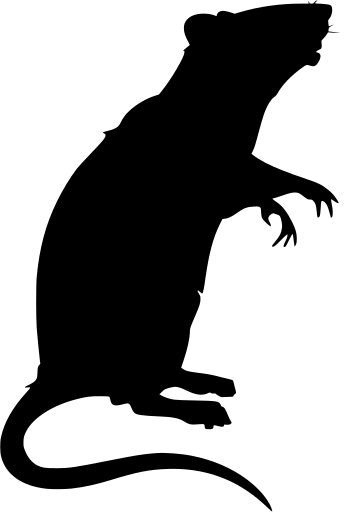 Rat Svg Free, Rat Stencil, Halloween Horror Nights Outfit, Halloween Calabazas, Rat Animal, Rat Silhouette, Teeth Vector, Arte Zombie, Baby Rats