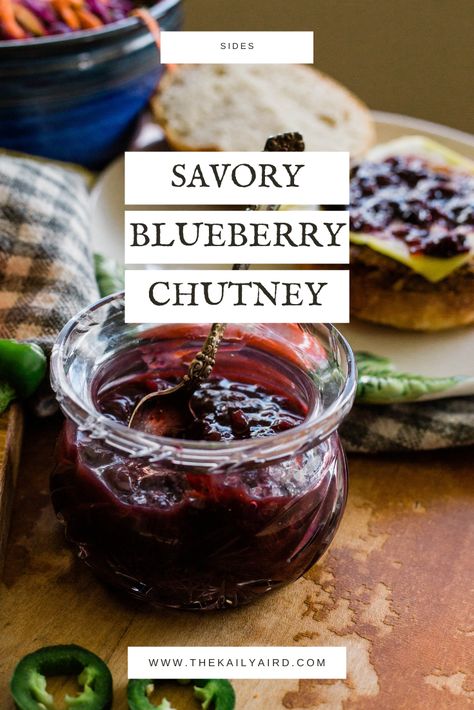 Savory Blueberry Sauce, Chutney Canning Recipes, Savory Chutney Recipes, Blueberry Savory Recipes, Savory Blueberry Recipes, Blueberry Canning Recipes, Blueberry Pepper Jelly Recipe, Blueberry Recipes Savory, Blueberry Preserves Recipe